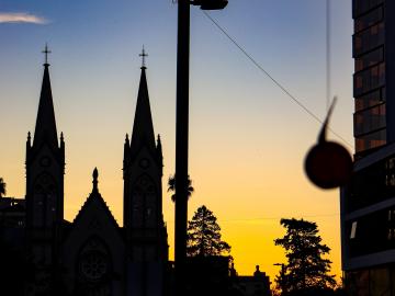 Débora Pessini Silvestre