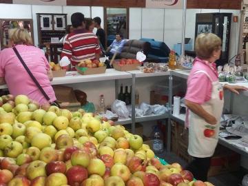 Femaca Supera Expectativas E Projeta Veranopolis 374