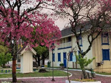 Valentina Zago da Silva